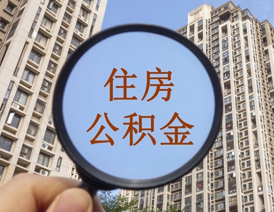 绥化退休后查不到公积金明细了吗（退休后公积金查询不到原因）